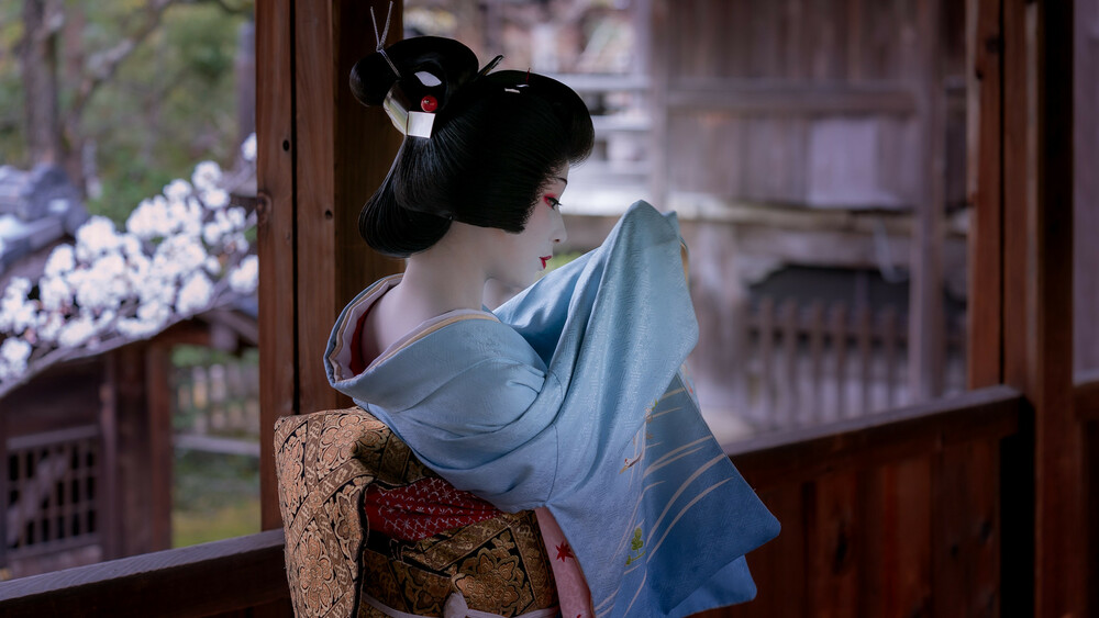 11月21日（土）まめ藤さんを応援する舞の鑑賞会