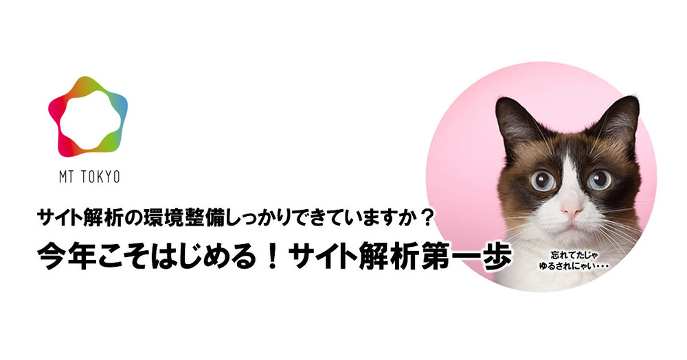 【MT東京-60】サイト解析の環境整備しっかりできていますか？今年こそはじめる！サイト解析第一歩