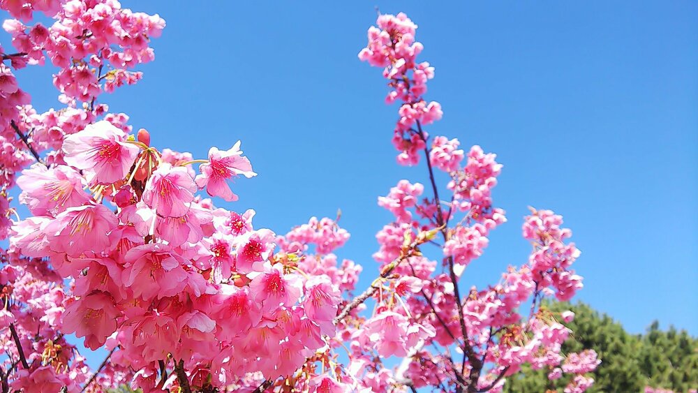 春のオープンデータ＆デジタルアーカイブまつり